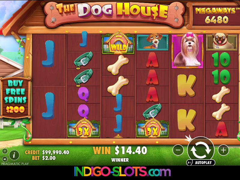The Dog House Megaways slot.