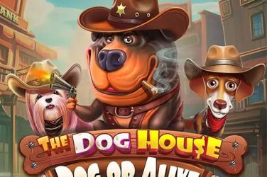 The Dog House Dog or Alive