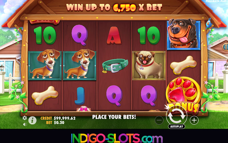 The Dog House slot.